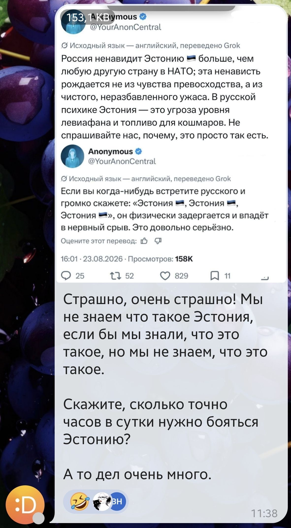 153, 1AKBymous @YourAnonCentral Исходный язык — английский, переведено Grok Россия ненавидит Эстонию больше, чем любую другую страну в НАТО; эта ненависть рождается не из чувства превосходства, а из чистого, неразбавленного ужаса. В русской психике Эстония — это угроза уровня левиафана и топливо для кошмаров. Не спрашивайте нас, почему, это просто