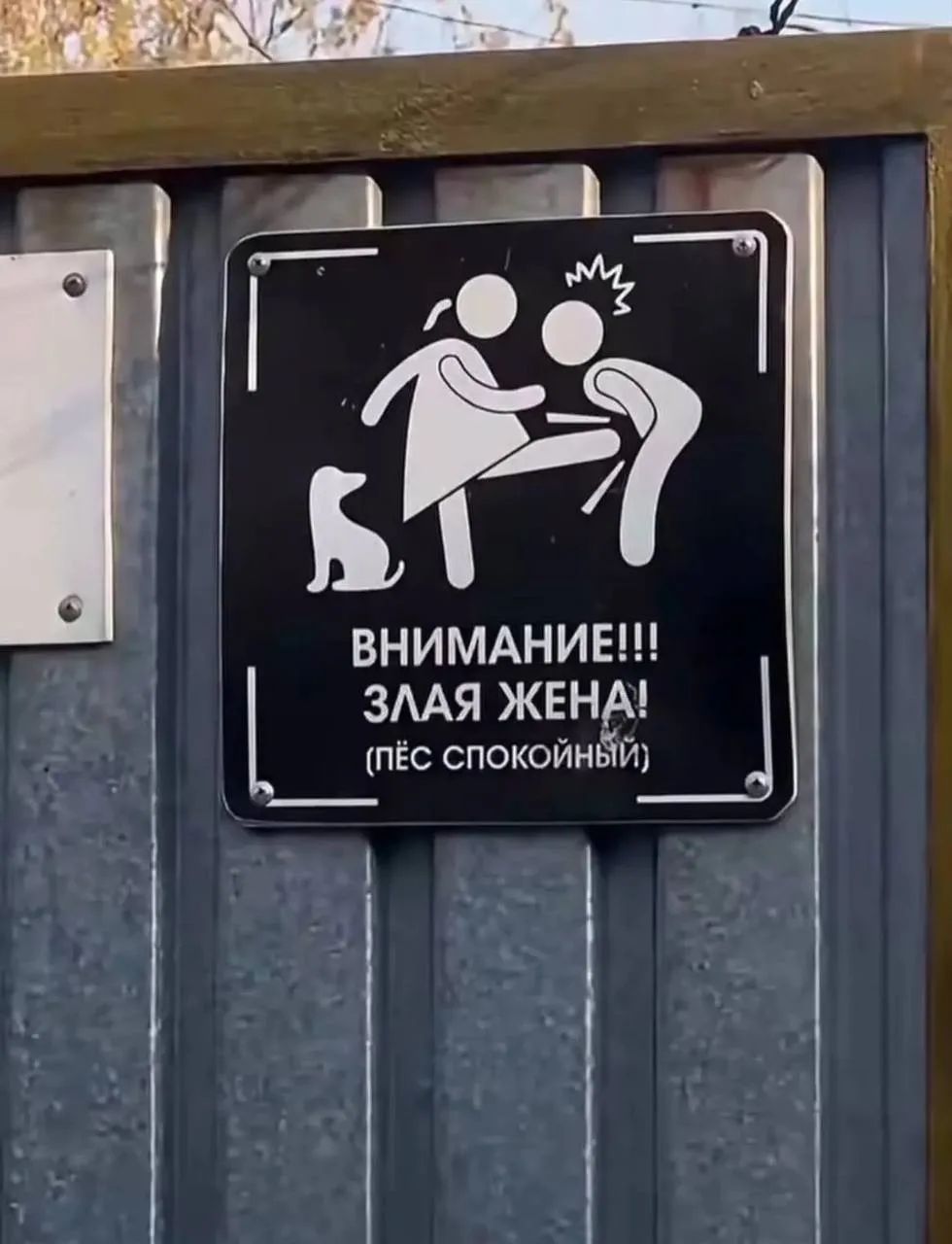 ВНИМАНИЕ!!! ЗЛАЯ ЖЕНА! (ПЁС СПОКОЙНЫЙ)
