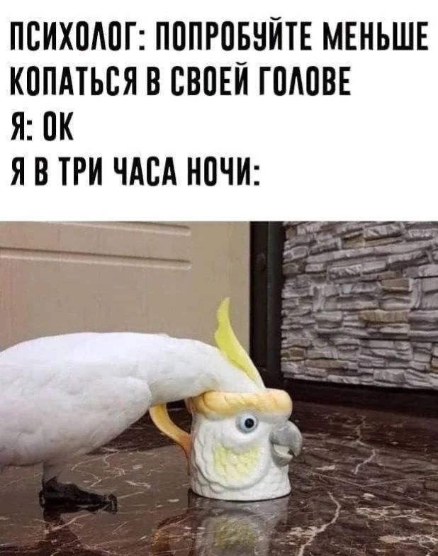 ПСИХОЛОГ: ПОПРОБУЙТЕ МЕНЬШЕ КОПАТЬСЯ В СВОЕЙ ГОЛОВЕ
Я: ОК
Я В ТРИ ЧАСА НОЧИ: