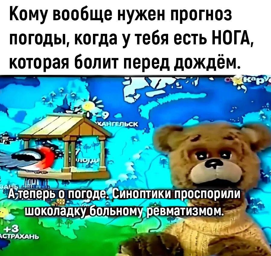 Кому вообще нужен прогноз погоды, когда у тебя есть НОГА, которая болит перед дождём. А теперь о погоде. Синоптики проспорили шоколадку больному ревматизмом.