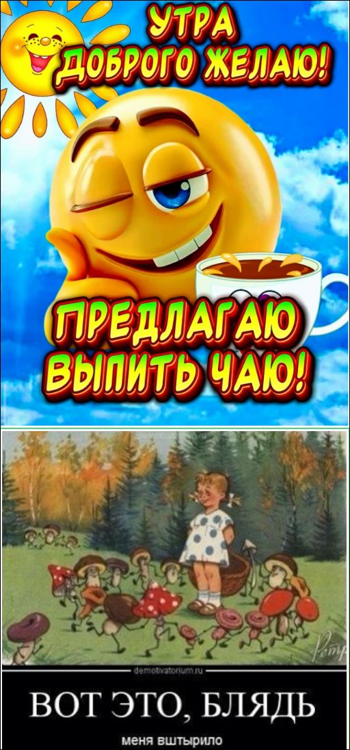 УТРА ДОБРОГО ЖЕЛАЮ! ПРЕДЛАГАЮ ВЫПИТЬ ЧАЮ! demotivatorium.ru ВОТ ЭТО, БЛЯДЬ меня вштырило