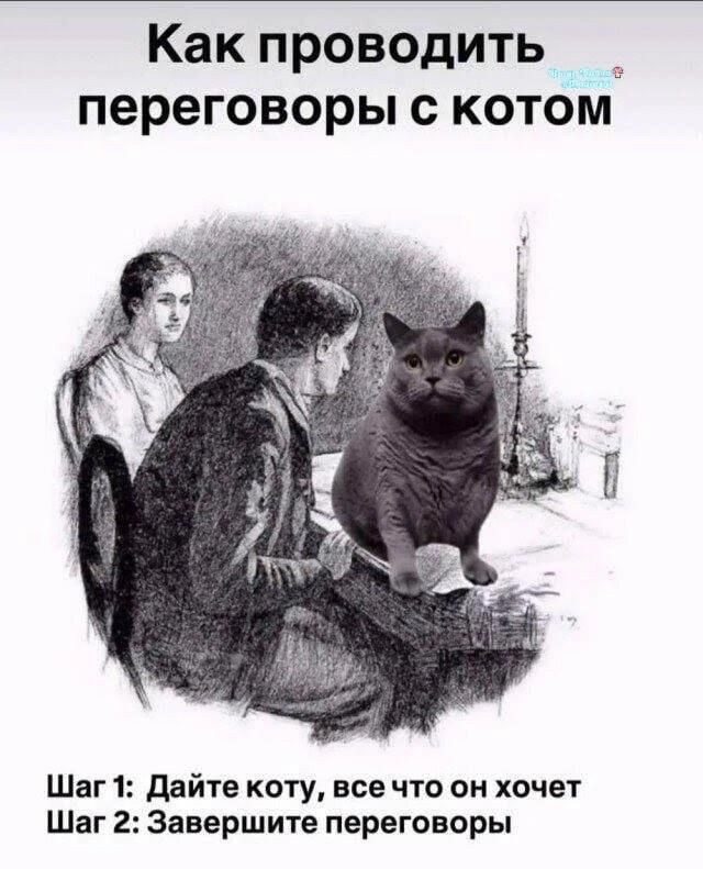 Как проводить переговоры с котом. Шаг 1: Дайте коту, все что он хочет. Шаг 2: Завершите переговоры