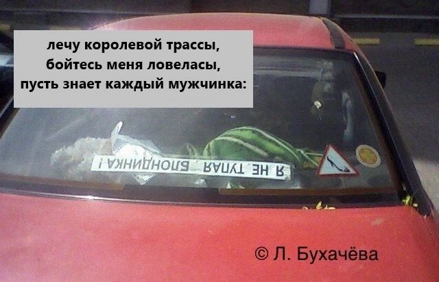 лечу королевой трассы, бойтесь меня ловеласы, пусть знает каждый мужчинка: Я НЕ ТУПАЯ БЛОНДИНКА! © Л. Бухачёва