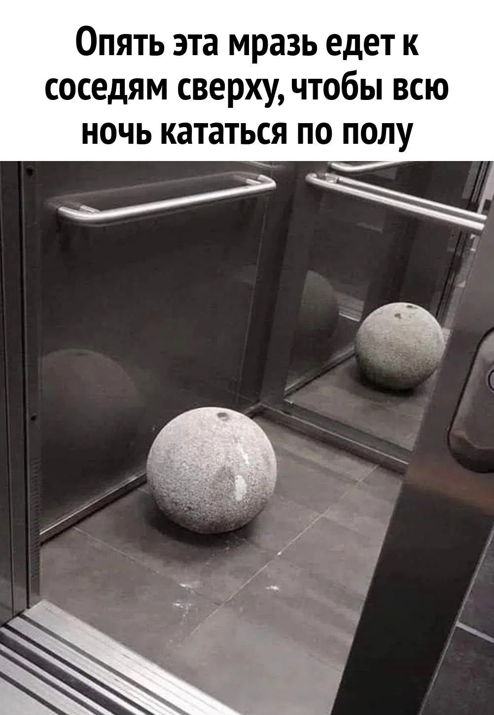 Опять эта мразь едет к соседям сверху, чтобы всю ночь кататься по полу