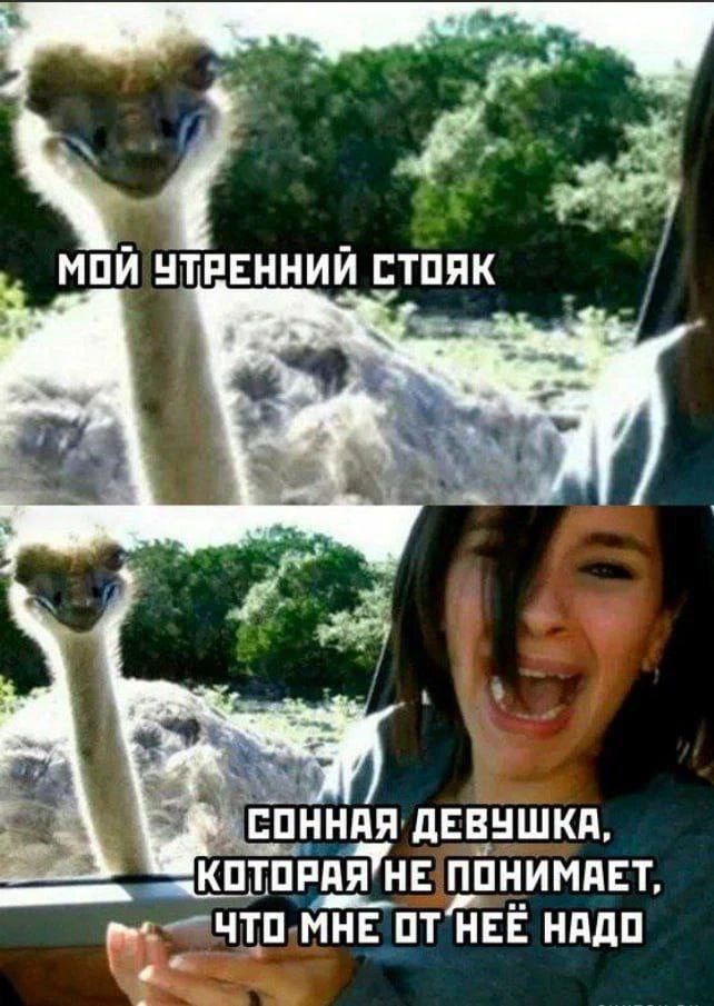 МОЙ УТРЕННИЙ СТОЯК СОННАЯ ДЕВУШКА, КОТОРАЯ НЕ ПОНИМАЕТ, ЧТО МНЕ ОТ НЕЁ НАДО