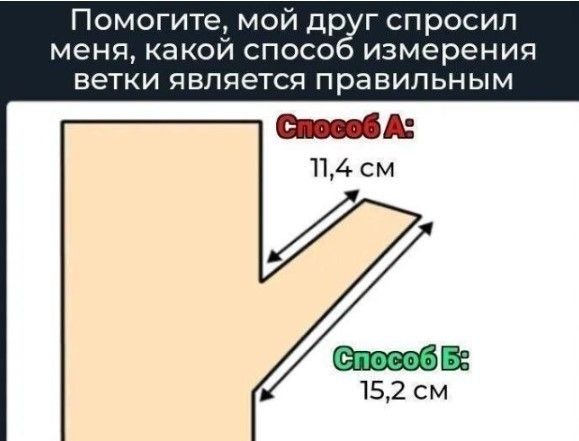 Помогите, мой друг спросил меня, какой способ измерения ветки является правильным. Способ А: 11,4 см. Способ Б: 15,2 см.