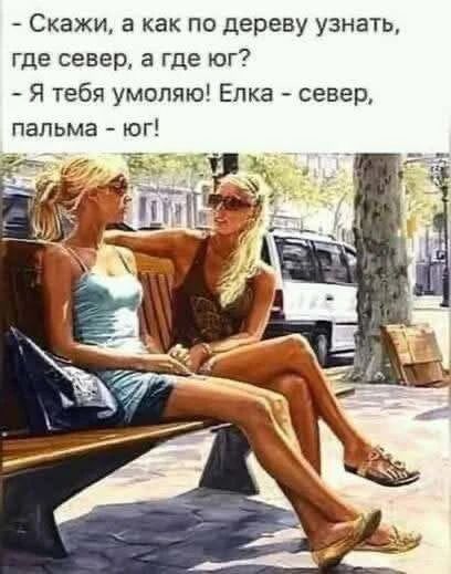 Скажи, а как по дереву узнать, где север, а где юг? - Я тебя умоляю! Елка - север, пальма - юг!