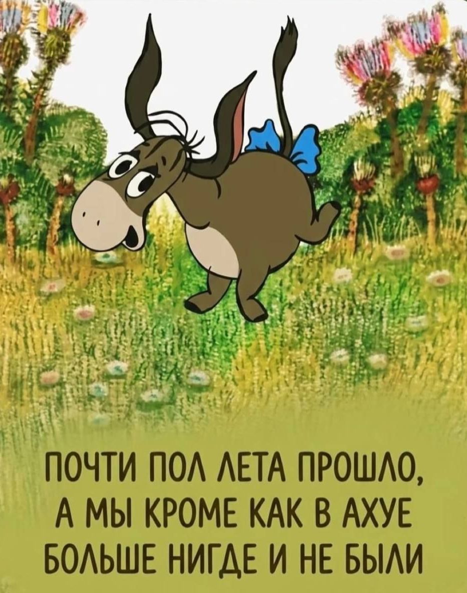 ПОЧТИ ПОЛ ЛЕТА ПРОШЛО, А МЫ КРОМЕ КАК В АХУЕ БОЛЬШЕ НИГДЕ И НЕ БЫЛИ