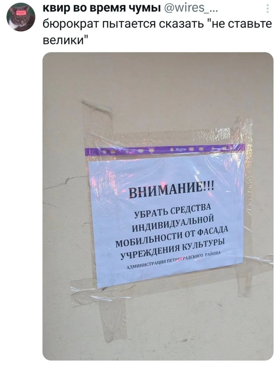 квир во время чумы бюрократ пытается сказать 
