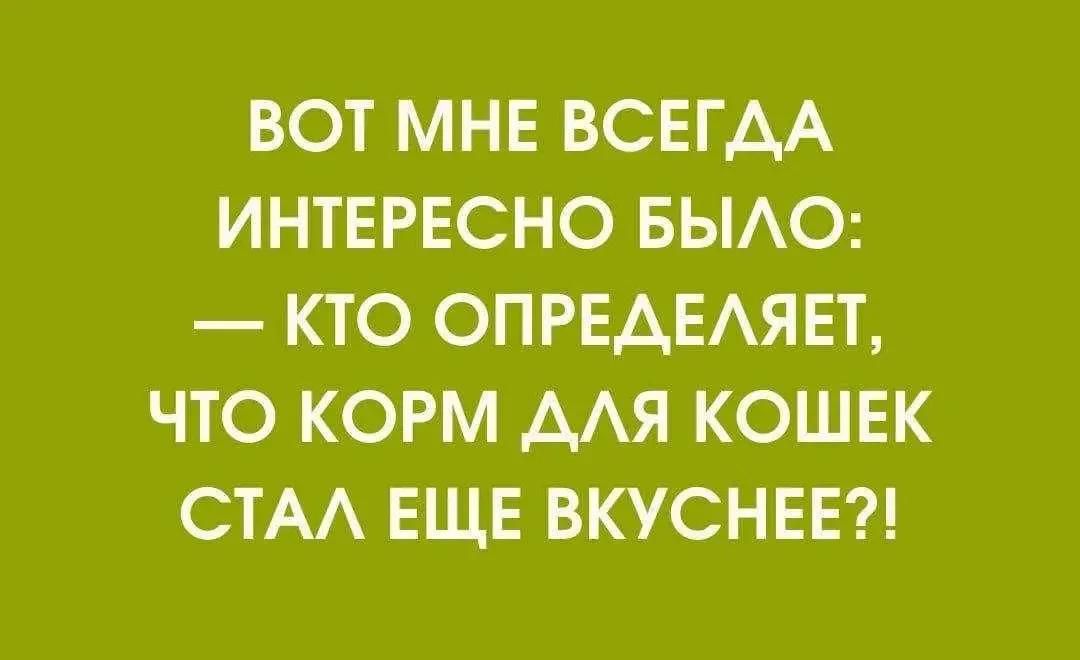 ВОТ МНЕ ВСЕГДА ИНТЕРЕСНО БЫЛО: — КТО ОПРЕДЕЛЯЕТ, ЧТО КОРМ ДЛЯ КОШЕК СТАЛ ЕЩЕ ВКУСНЕЕ?!