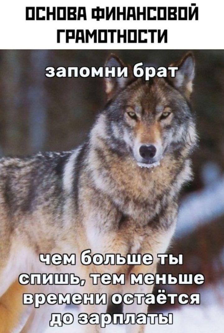 ОСНОВА ФИНАНСОВОЙ ГРАМОТНОСТИ запомни брат чем больше ты спишь, тем меньше времени остается до зарплаты