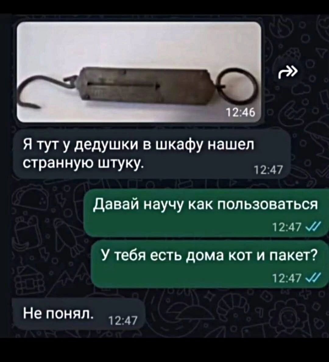 Я тут у дедушки в шкафу нашел странную штуку. Давай научу как пользоваться. У тебя есть дома кот и пакет? Не понял.
