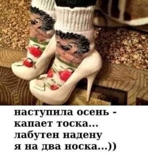 наступила осень - капает тоска... лабутен надену я на два носка...))