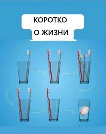 КОРОТКО О ЖИЗНИ. Изображение показывает последовательность стаканов с зубными щетками, символизирующую этапы жизни: одиночество (одна щетка), пара (две щетки), семья (много щеток), дети выросли (две щетки), потеря партнера (одна щетка), старость (вставная челюсть в стакане).