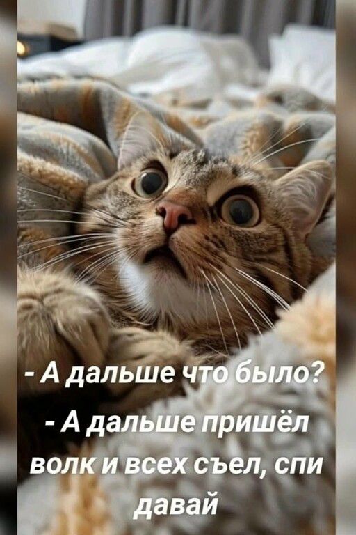 - А дальше что было? - А дальше пришёл волк и всех съел, спи давай