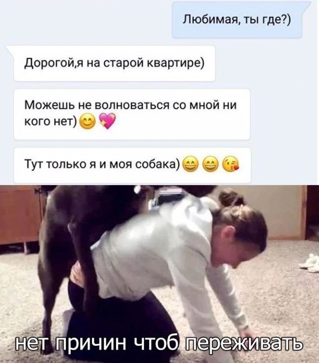 Любимая, ты где?) Дорогой,я на старой квартире) Можешь не волноваться со мной ни кого нет) 😊💖 Тут только я и моя собака) 😊😊😘 нет причин чтоб переживать