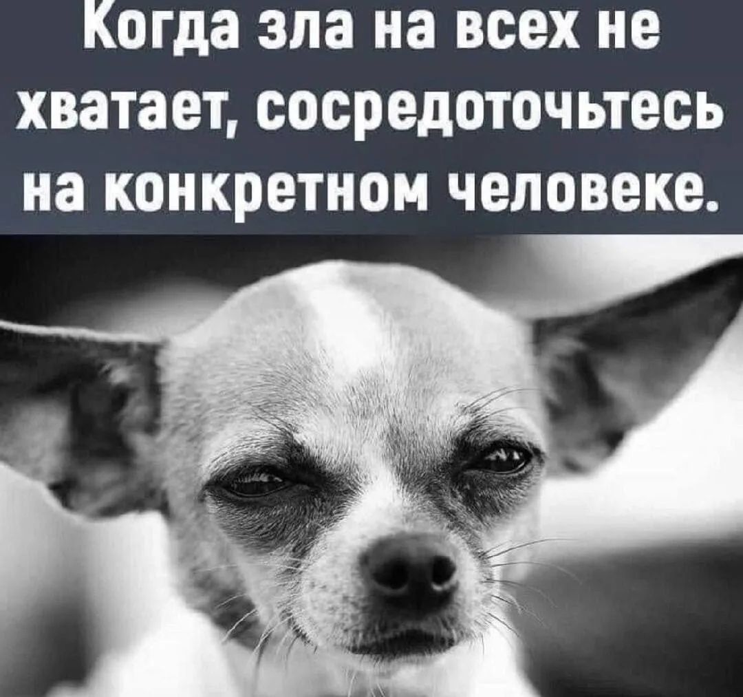 Когда зла на всех не хватает, сосредоточьтесь на конкретном человеке.