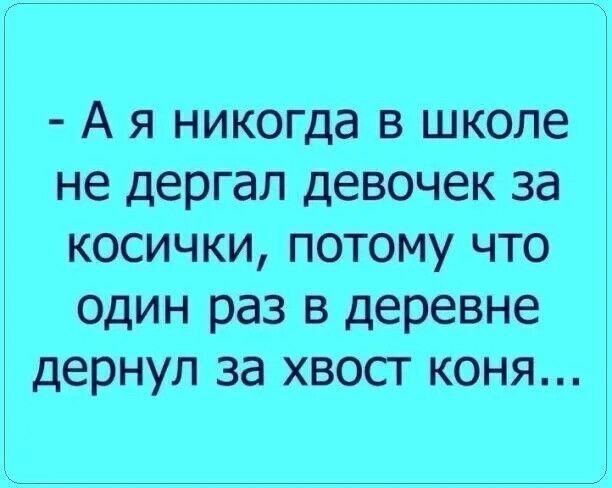 - А я никогда в школе не дергал девочек за косички, потому что один раз в деревне дернул за хвост коня...