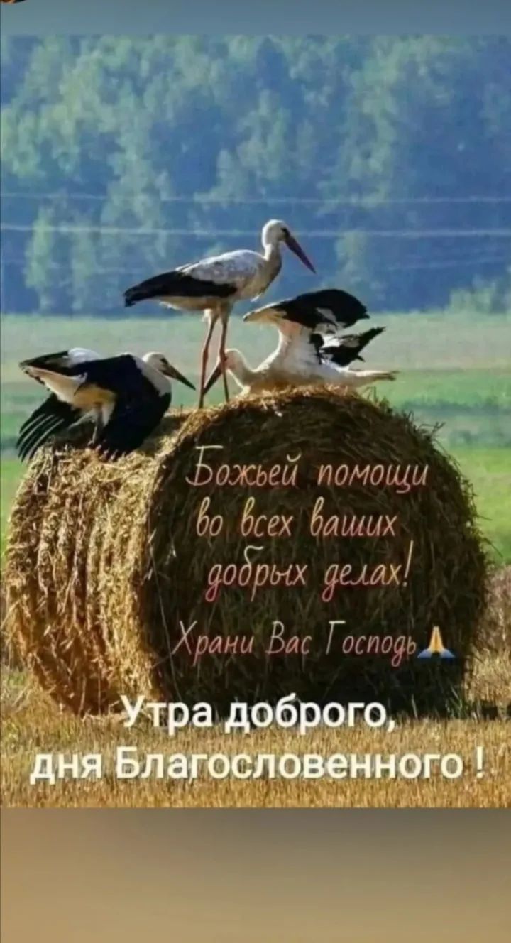 Божьей помощи во всех ваших добрых делах! Храни Вас Господь! Утра доброго, дня Благословенного!