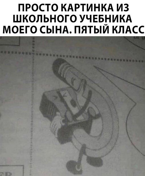 ПРОСТО КАРТИНКА ИЗ ШКОЛЬНОГО УЧЕБНИКА МОЕГО СЫНА. ПЯТЫЙ КЛАСС