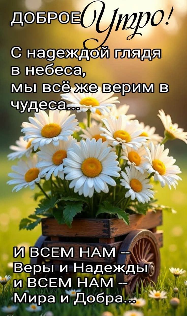 ДОБРОЕ Утро! С надеждой глядя в небеса, мы всё же верим в чудеса... И ВСЕМ НАМ -- Веры и Надежды и ВСЕМ НАМ -- Мира и Добра...