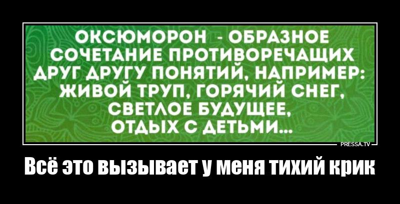 ОКСЮМОРОН - ОБРАЗНОЕ СОЧЕТАНИЕ ПРОТИВОРЕЧАЩИХ ДРУГ ДРУГУ ПОНЯТИЙ, НАПРИМЕР: ЖИВОЙ ТРУП, ГОРЯЧИЙ СНЕГ, СВЕТЛОЕ БУДУЩЕЕ, ОТДЫХ С ДЕТЬМИ... Всё это вызывает у меня тихий крик