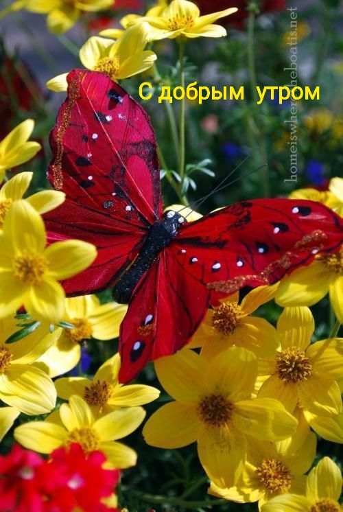 С добрым утром