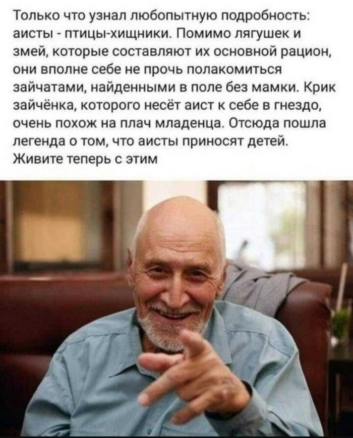 Только что узнал любопытную подробность: аисты - птицы-хищники. Помимо лягушек и змей, которые составляют их основной рацион, они вполне себе не прочь полакомиться зайчатами, найденными в поле без мамки. Крик зайчонка, которого несёт аист к себе в гнездо, очень похож на плач младенца. Отсюда пошла легенда о том, что аисты приносят детей. Живите