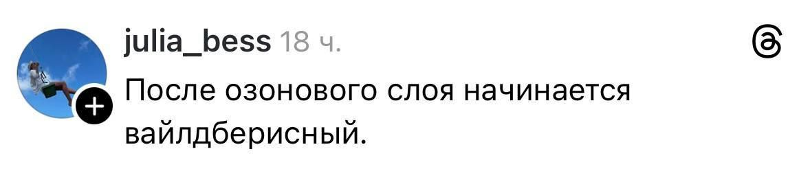 После озонового слоя начинается вайлдберисный.