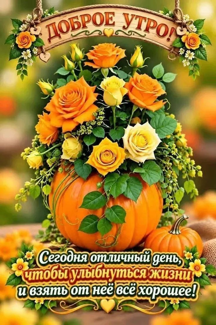 ДОБРОЕ УТРО! Сегодня отличный день, чтобы улыбнуться жизни и взять от неё всё хорошее!