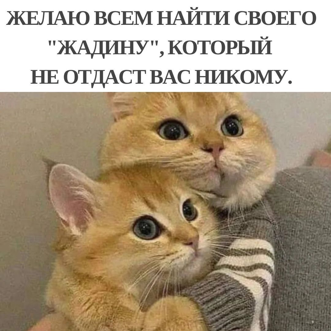 ЖЕЛАЮ ВСЕМ НАЙТИ СВОЕГО 
