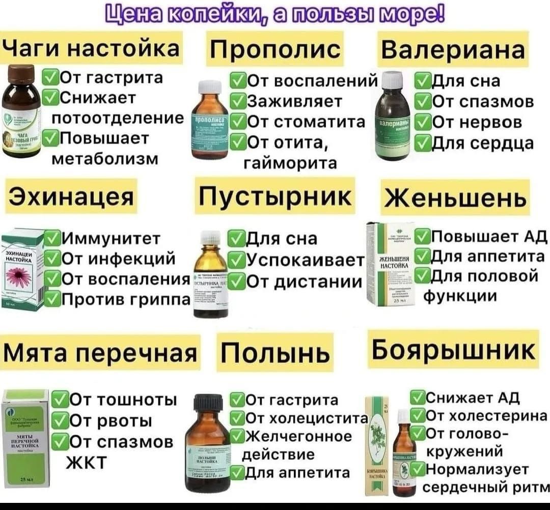 Цена копейки, а пользы море! Чаги настойка: От гастрита, Снижает потоотделение, Повышает метаболизм. Прополис: От воспалений, Заживляет, От стоматита, От отита, гайморита. Валериана: Для сна, От спазмов, От нервов, Для сердца. Эхинацея: Иммунитет, От инфекций, От воспаления, Против гриппа. Пустырник: Для сна, Успокаивает, От дистании. Женьшень: