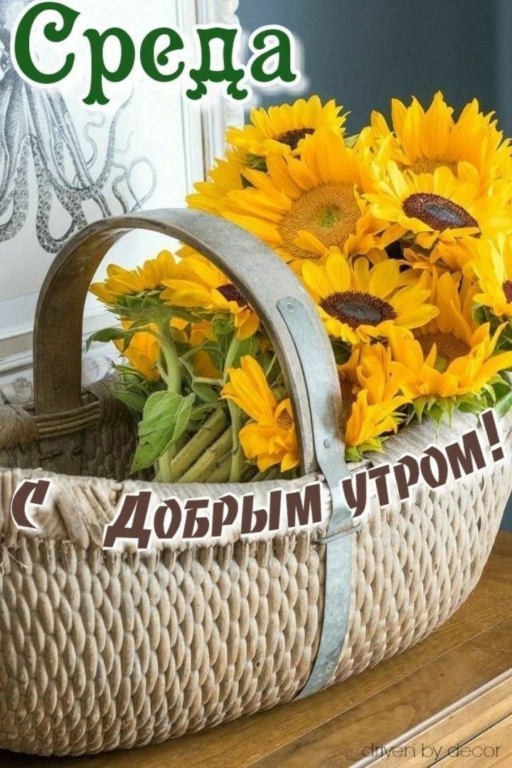 Среда С добрым утром!