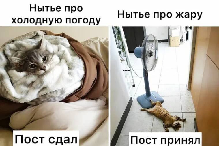 Нытье про холодную погоду. Пост сдал. Нытье про жару. Пост принял.