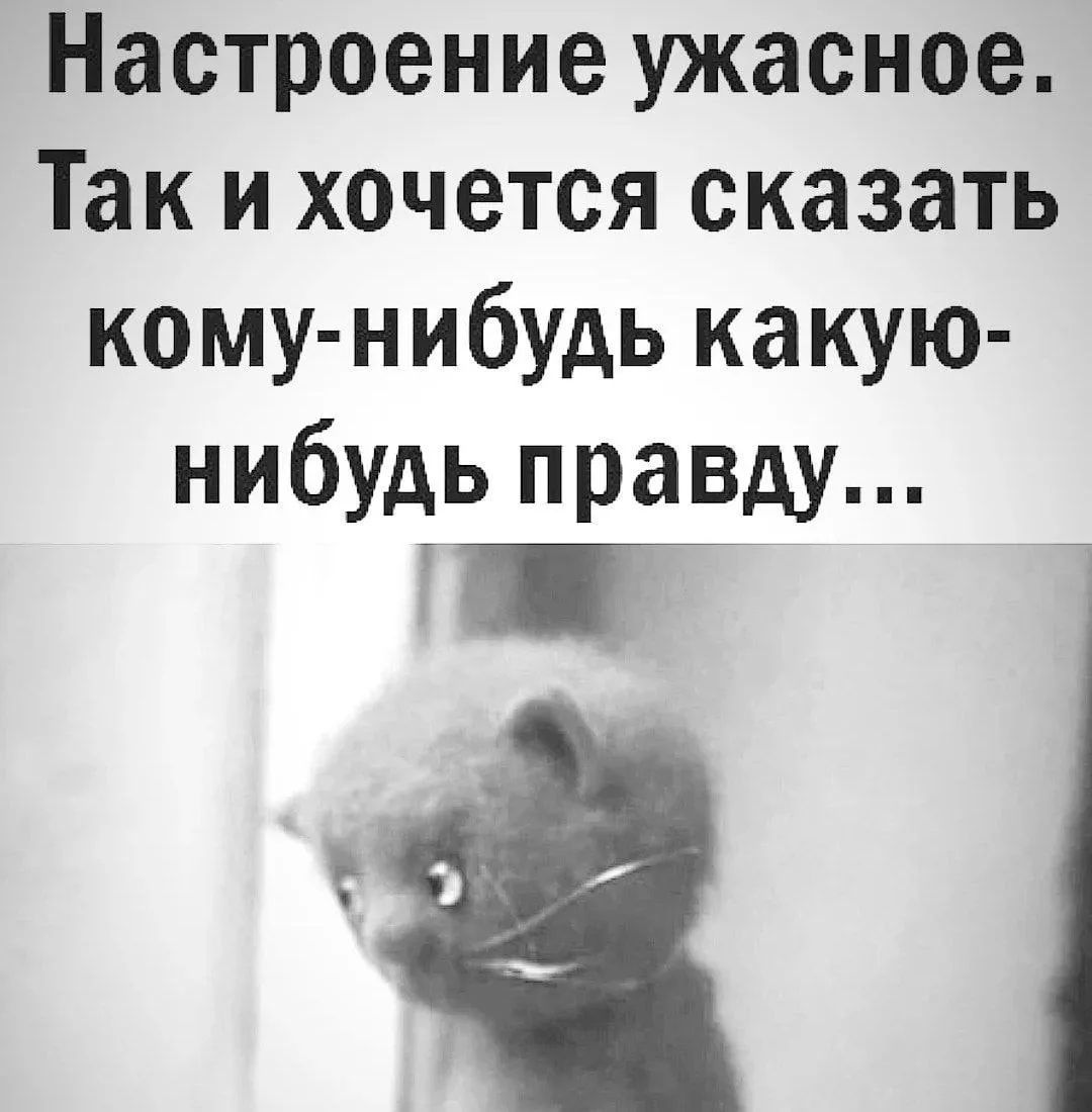 Настроение ужасное. Так и хочется сказать кому-нибудь какую-нибудь правду...