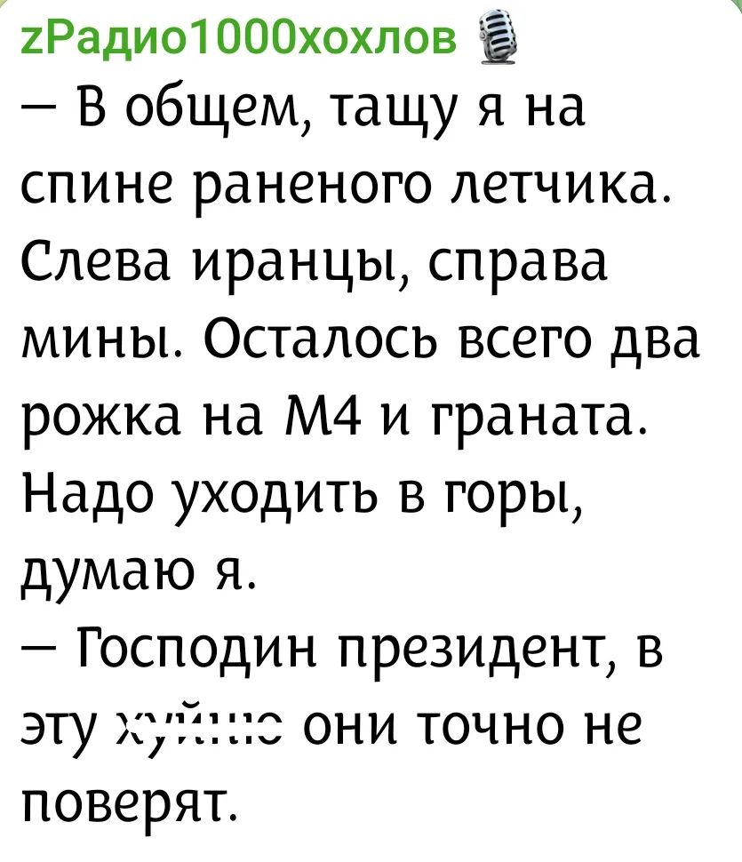 zРадио1000хохлов
— В общем, тащу я на спине раненого летчика. Слева иранцы, справа мины. Осталось всего два рожка на М4 и граната. Надо уходить в горы, думаю я.
— Господин президент, в эту хуйню они точно не поверят.
