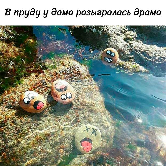 В пруду у дома разыгралась драма