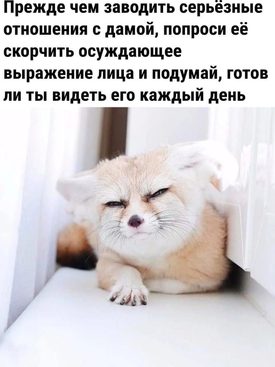 Прежде чем заводить серьёзные отношения с дамой, попроси её скорчить осуждающее выражение лица и подумай, готов ли ты видеть его каждый день