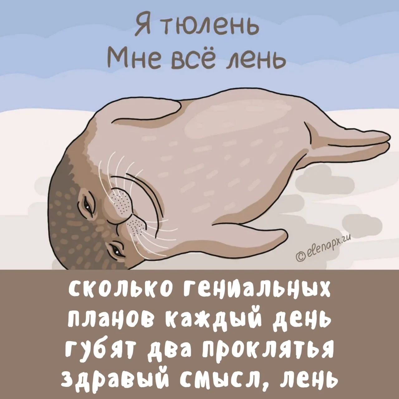 Я тюлень Мне всё лень Сколько гениальных планов каждый день губят два проклятья здравый смысл, лень