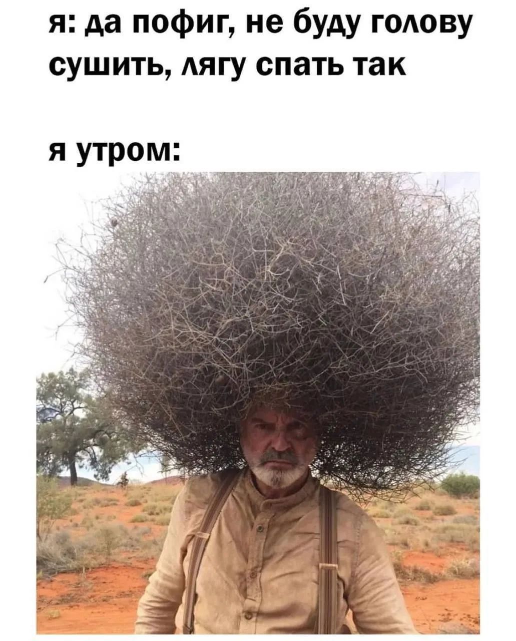 я: да пофиг, не буду голову сушить, лягу спать так я утром: