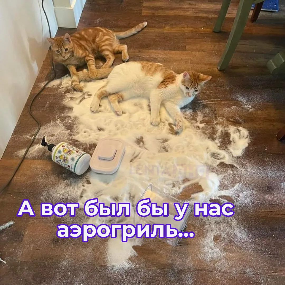 А вот был бы у нас аэрогриль...