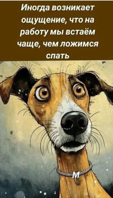 Иногда возникает ощущение, что на работу мы встаём чаще, чем ложимся спать