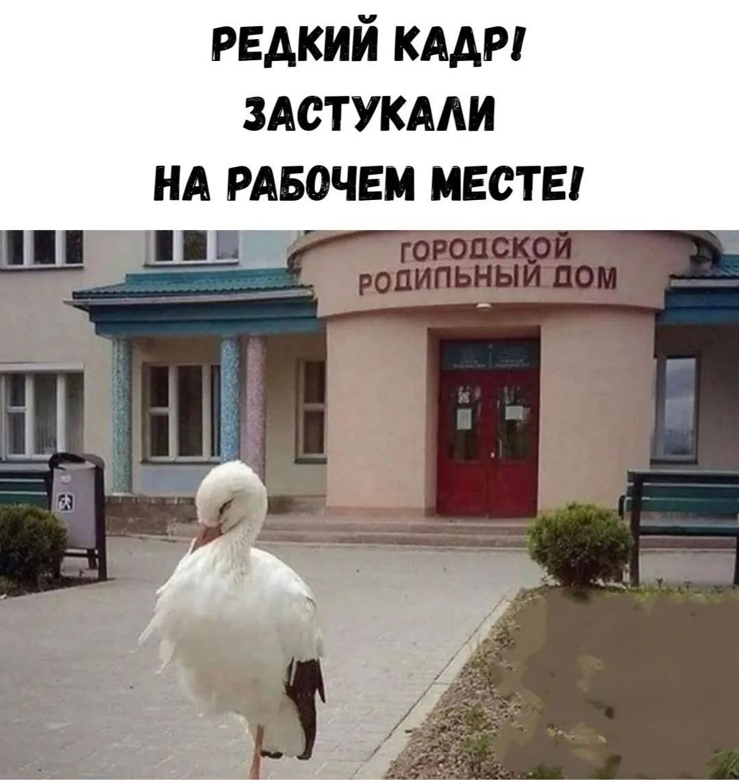РЕДКИЙ КАДР! ЗАСТУКАЛИ НА РАБОЧЕМ МЕСТЕ! ГОРОДСКОЙ РОДИЛЬНЫЙ ДОМ