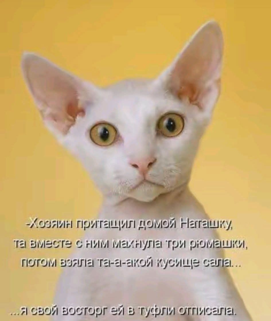 -Хозяин притащил домой Наташку, та вместе с ним махнула три рюмашки, потом взяла та-а-акой кусище сала... ...я свой восторг ей в туфли отписала.