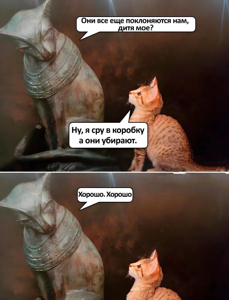 Они все еще поклоняются нам, дитя мое? Ну, я сру в коробку а они убирают. Хорошо. Хорошо