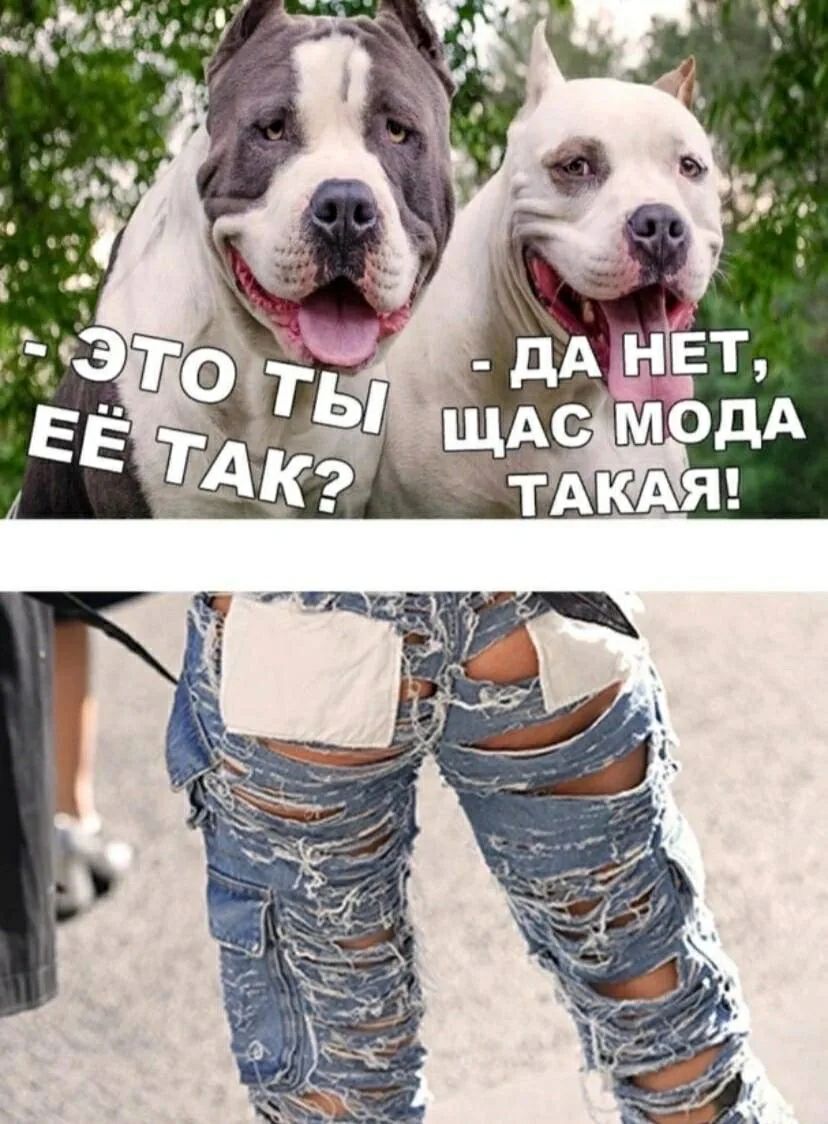 ЭТО ТЫ ЕЁ ТАК? ДА НЕТ, ЩАС МОДА ТАКАЯ!