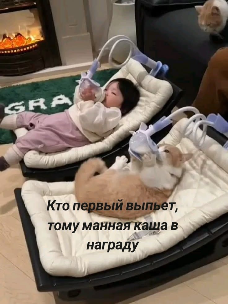 Кто первый выпьет, тому манная каша в награду