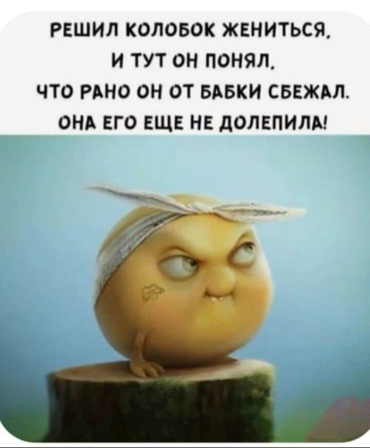 РЕШИЛ КОЛОБОК ЖЕНИТСЯ, И ТУТ ОН ПОНЯЛ, ЧТО РАНО ОН ОТ БАБКИ СБЕЖАЛ. ОНА ЕГО ЕЩЕ НЕ ДОЛЕПИЛА!
