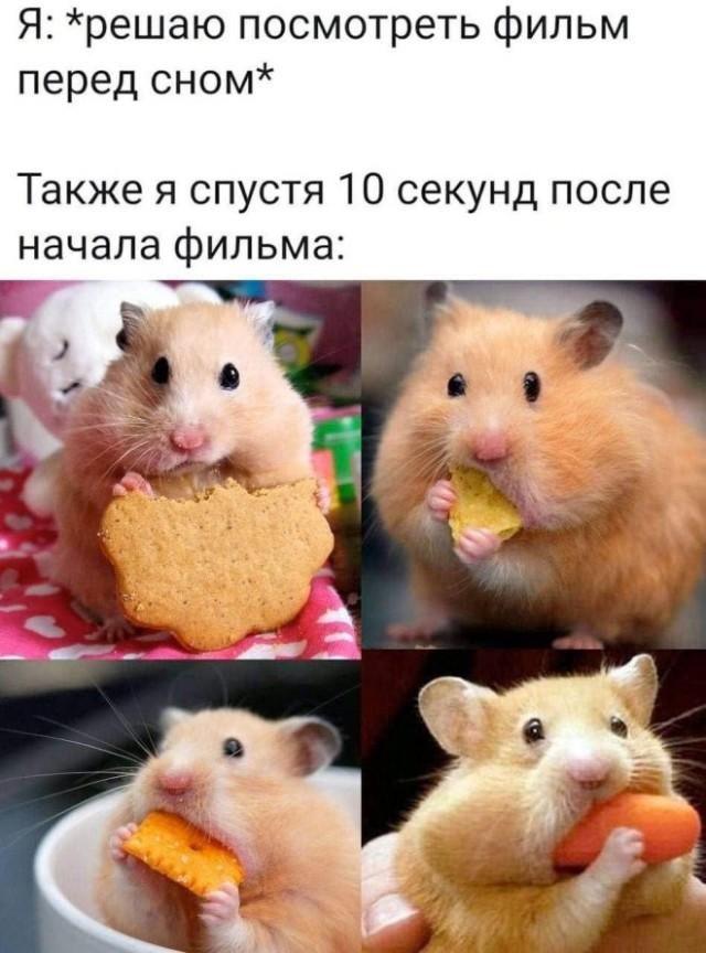 Я: *решаю посмотреть фильм перед сном* Также я спустя 10 секунд после начала фильма:
