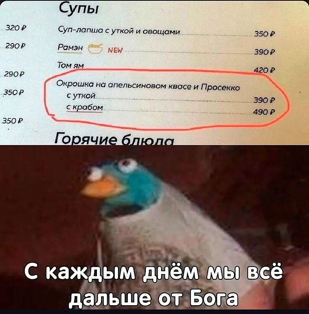 Супы Суп-лапша с уткой и овощами 320 Р 350 Р Рамэн NEW 290 Р 390 Р Том ям 290 Р 420 Р Окрошка на апельсиновом квасе и Просекко с уткой 350 Р 390 Р с крабом 350 Р 490 Р Горячие блюда С каждым днём мы всё дальше от Бога